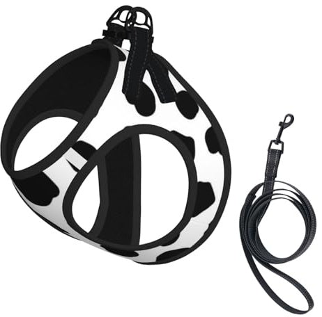 DML- patron de dalmata precioso